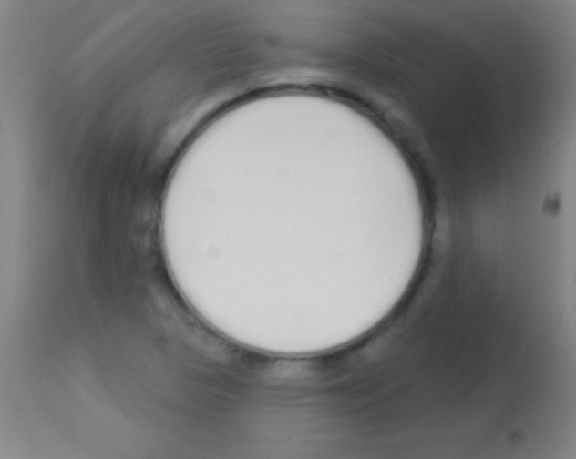 X0000113161313200910161234