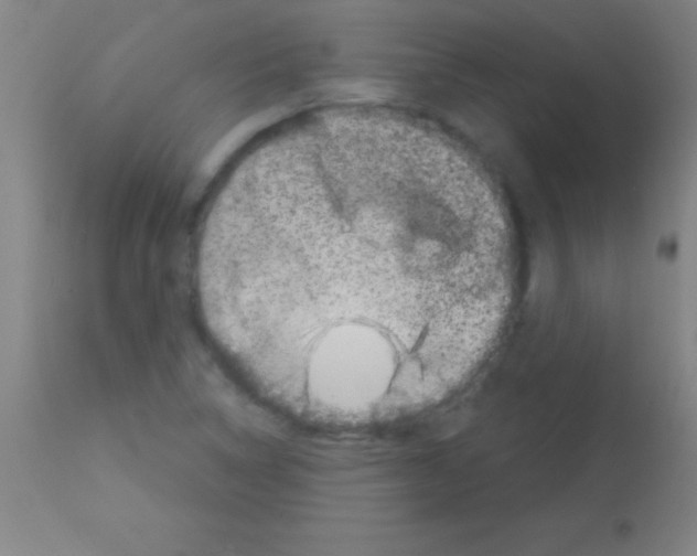 X0000113161314200910161234