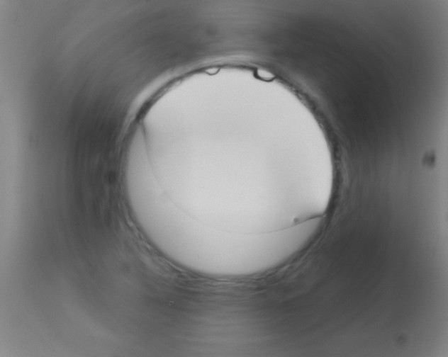 X0000113161316200910161234