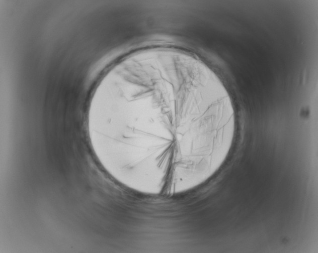 X0000113161318200910161234