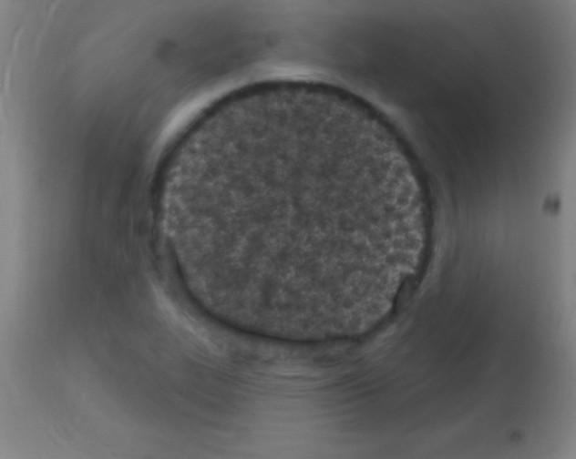 X0000113161319200910161234