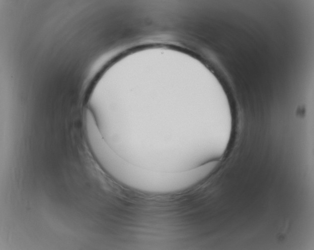 X0000113161320200910161234