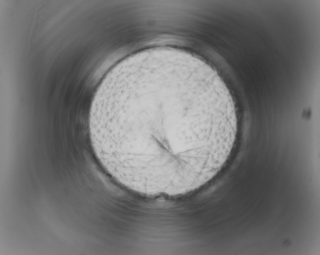 X0000113161321200910161234