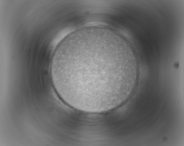 X0000113161322200910161234