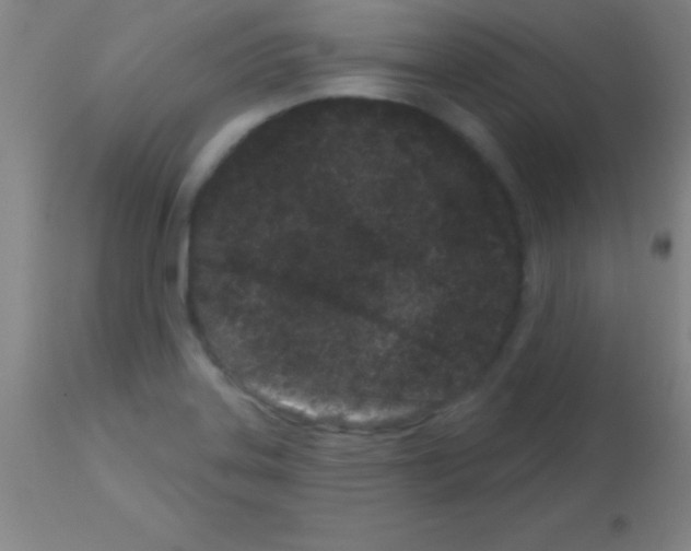 X0000113161323200910161234