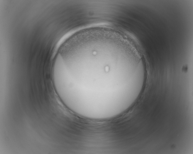 X0000113161324200910161234