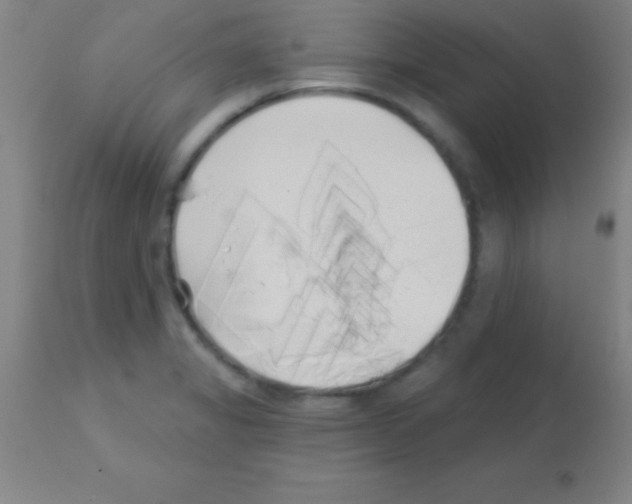 X0000113161325200910161234