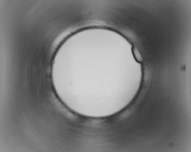 X0000113161326200910161234