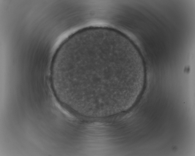 X0000113161327200910161234