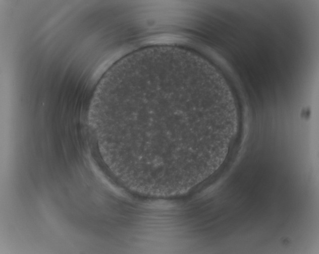 X0000113161329200910161234