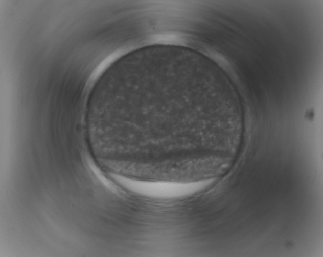 X0000113161331200910161235