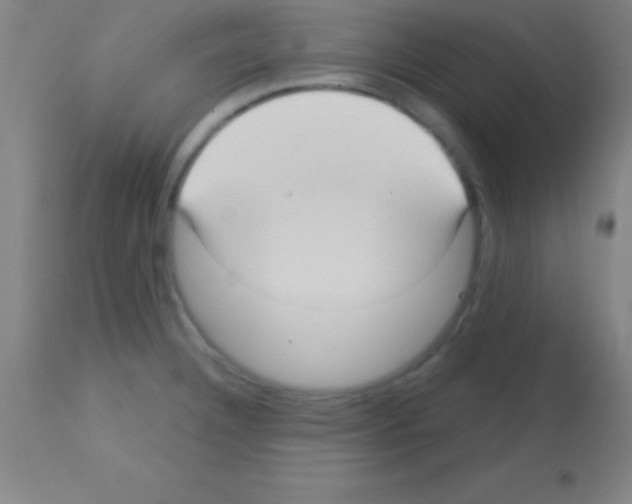 X0000113161332200910161235