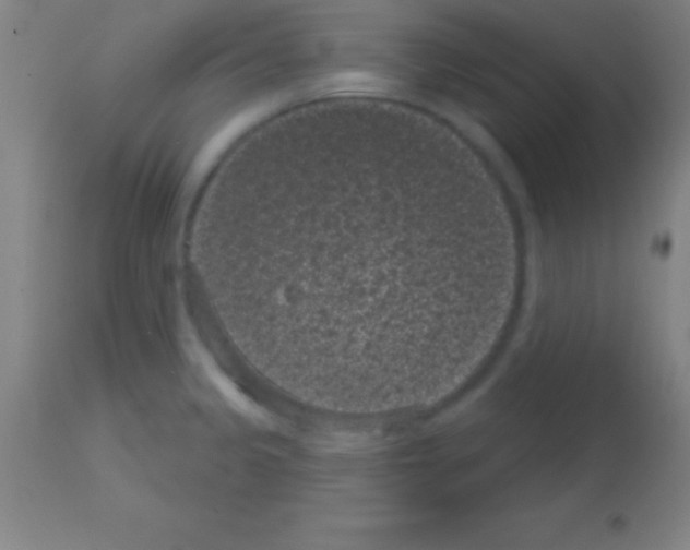 X0000113161333200910161235