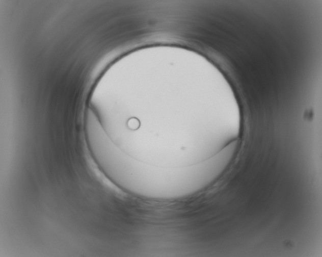 X0000113161334200910161235