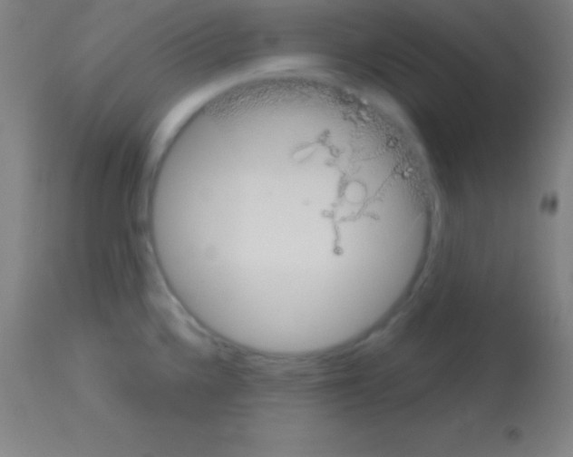 X0000113161336200910161235