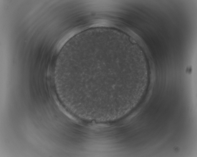 X0000113161337200910161235