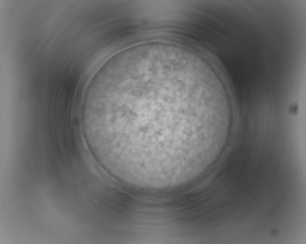 X0000113161338200910161235