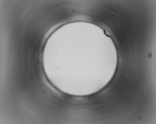 X0000113161339200910161235