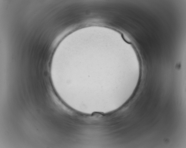 X0000113161341200910161235