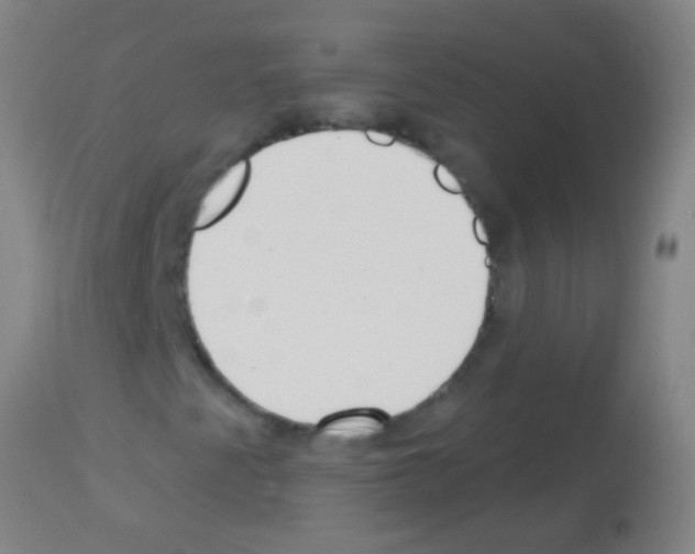 X0000113161345200910161234