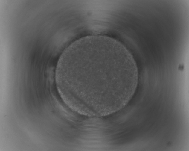 X0000113161346200910161234