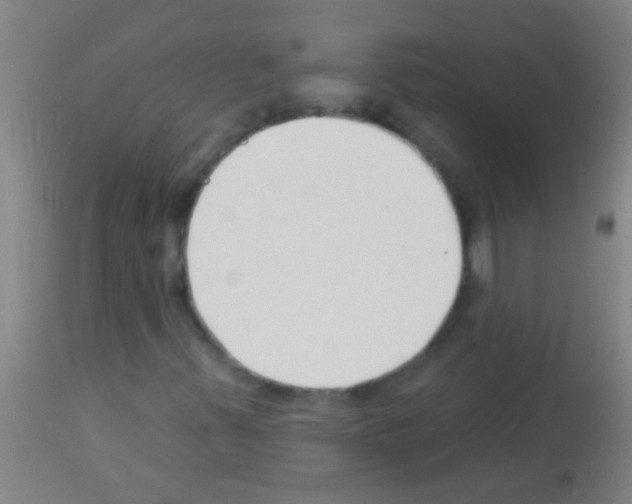 X0000113161347200910161234