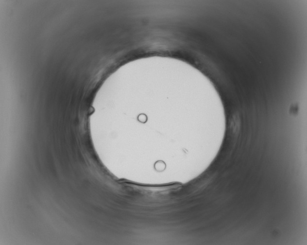 X0000113161348200910161234