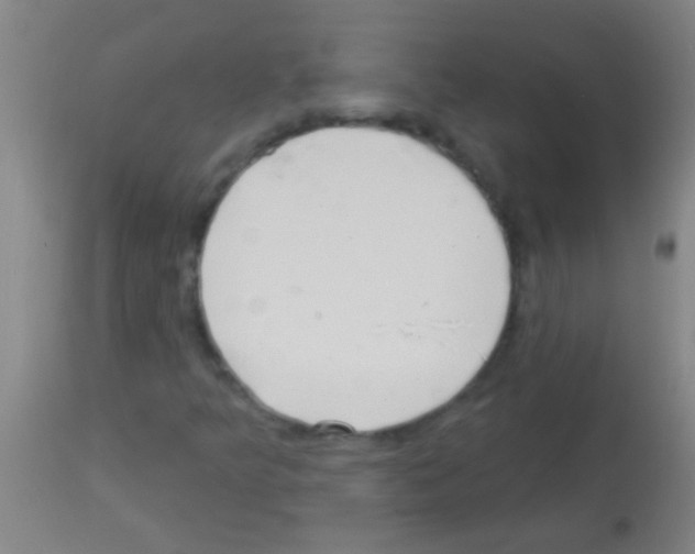 X0000113161349200910161234