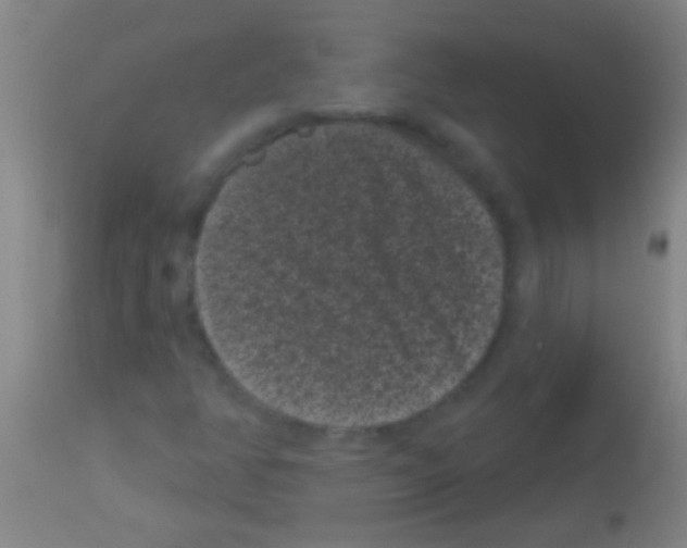 X0000113161350200910161234