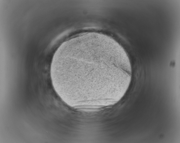 X0000113161351200910161234