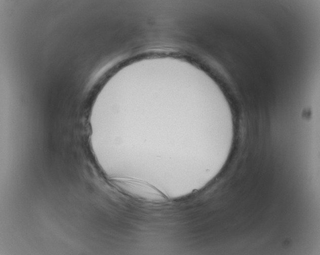 X0000113161352200910161234