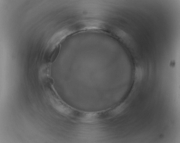 X0000113161353200910161234