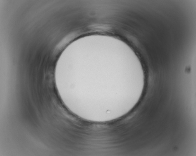 X0000113161354200910161234