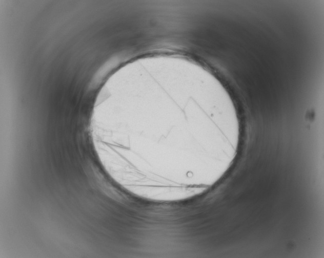 X0000113161355200910161234