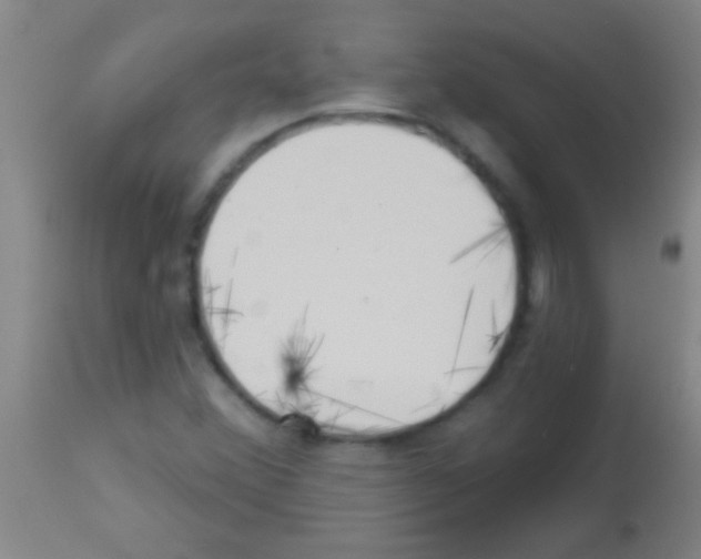 X0000113161356200910161234