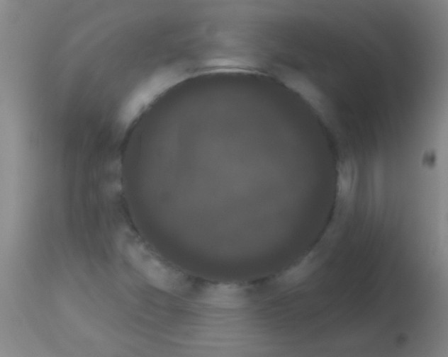 X0000113161357200910161234