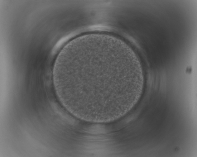 X0000113161358200910161234