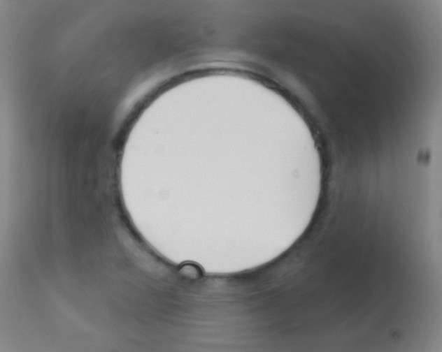 X0000113161360200910161234