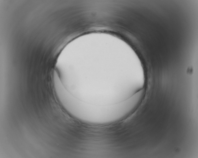 X0000113161361200910161234