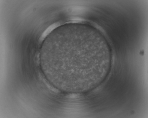 X0000113161362200910161234