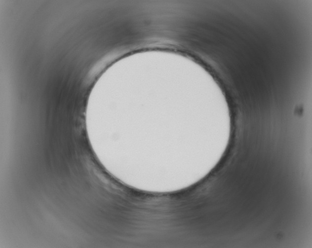 X0000113161363200910161234