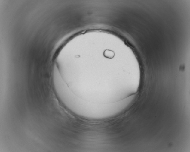 X0000113161364200910161234