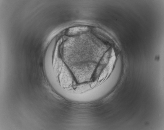 X0000113161365200910161234