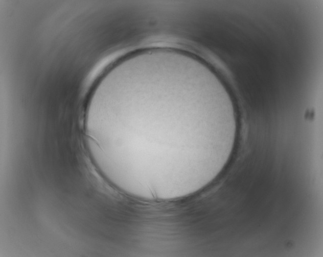 X0000113161368200910161234