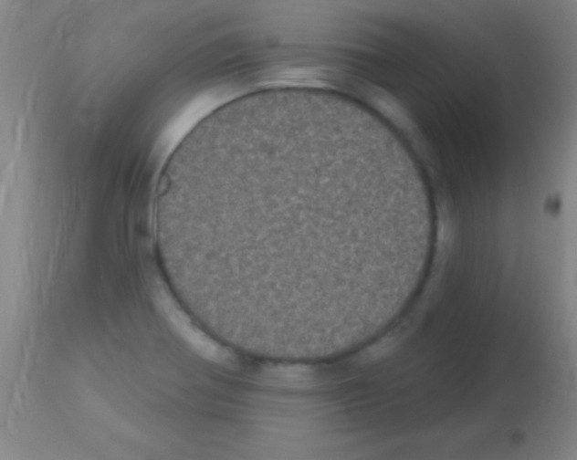 X0000113161370200910161234