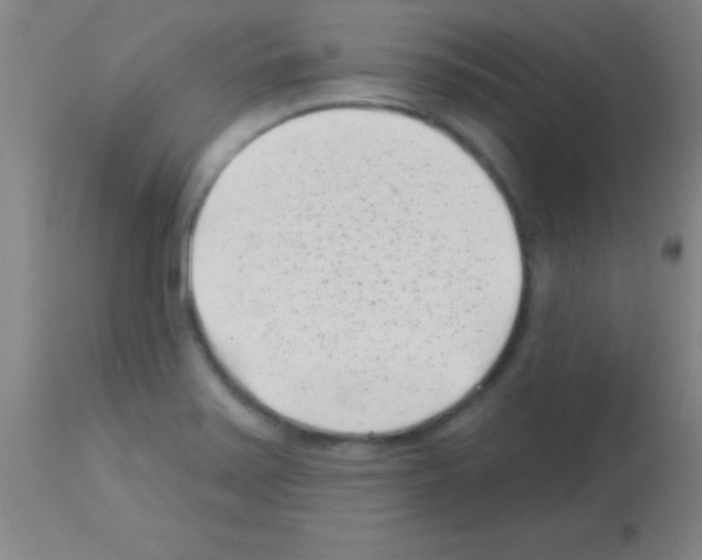 X0000113161371200910161234