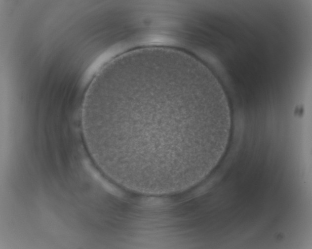 X0000113161374200910161233