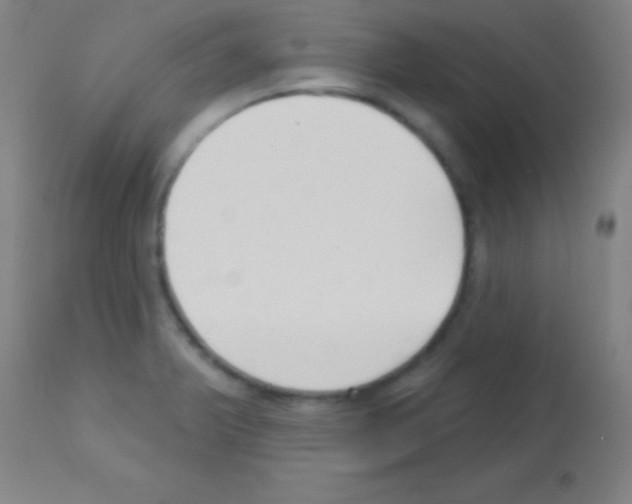 X0000113161375200910161233