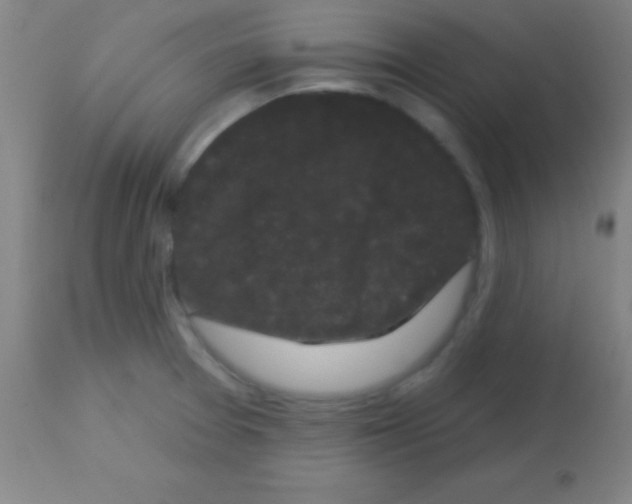 X0000113161377200910161233