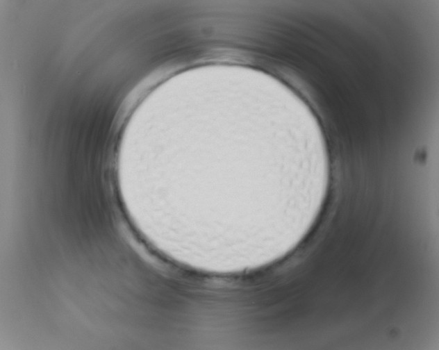 X0000113161379200910161233